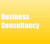 Business Consultancy